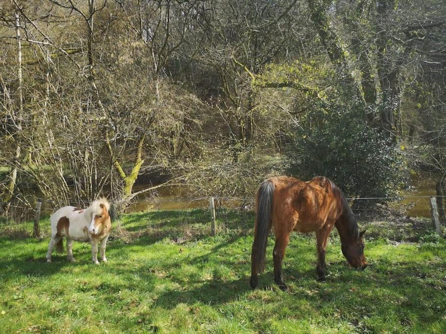 La Parenthese Villa Guenin Bagian luar foto